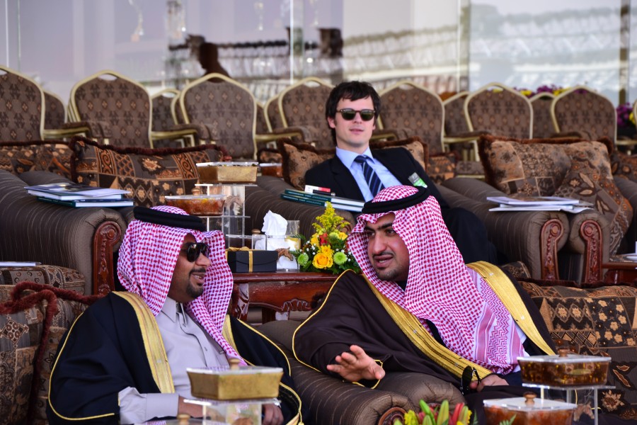 Al Khaledia Arabian Horse Festival (6781687431)