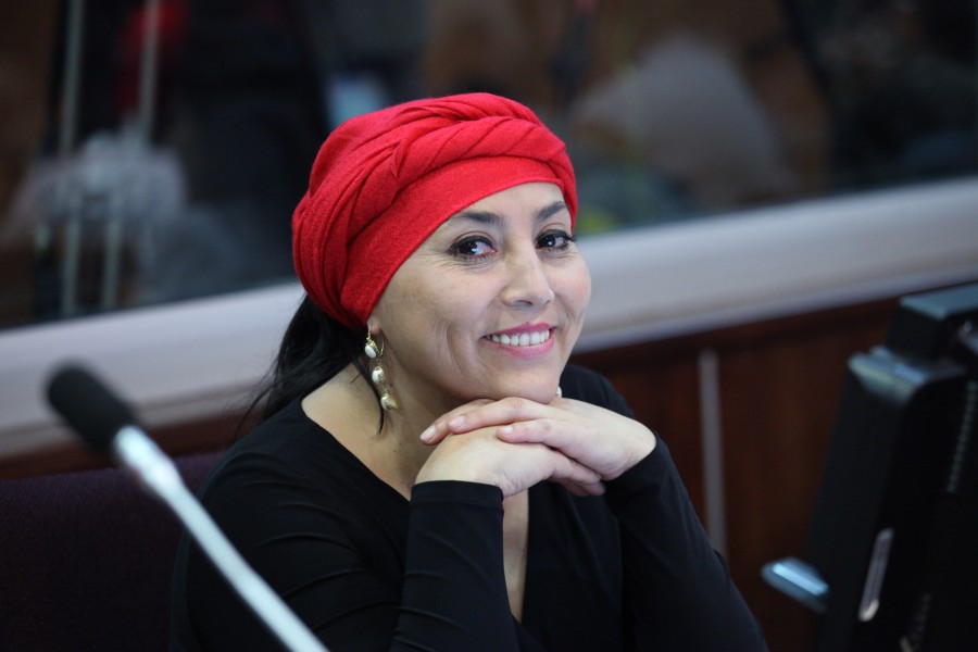 Asambleísta , Marisol Peñafiel en la sesión 256, el Pleno de la Asamblea Nacional (10084698206)