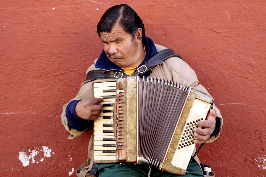 Blind accordion player