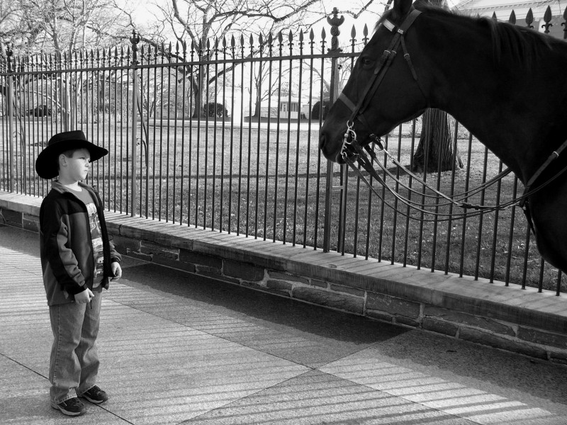 Boy and horse in front of the White House
