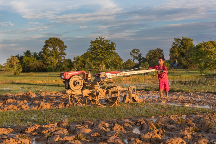 Boy plowing with a tractor at sunset in Don Det, Laos