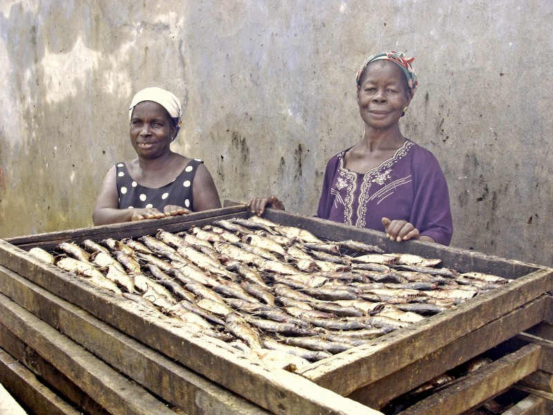 Drying fish Takoradi 2011 B002a