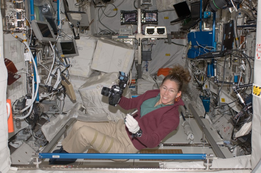 Expedition 18 flight engineer Sandra Magnus works in the Columbus laboratory