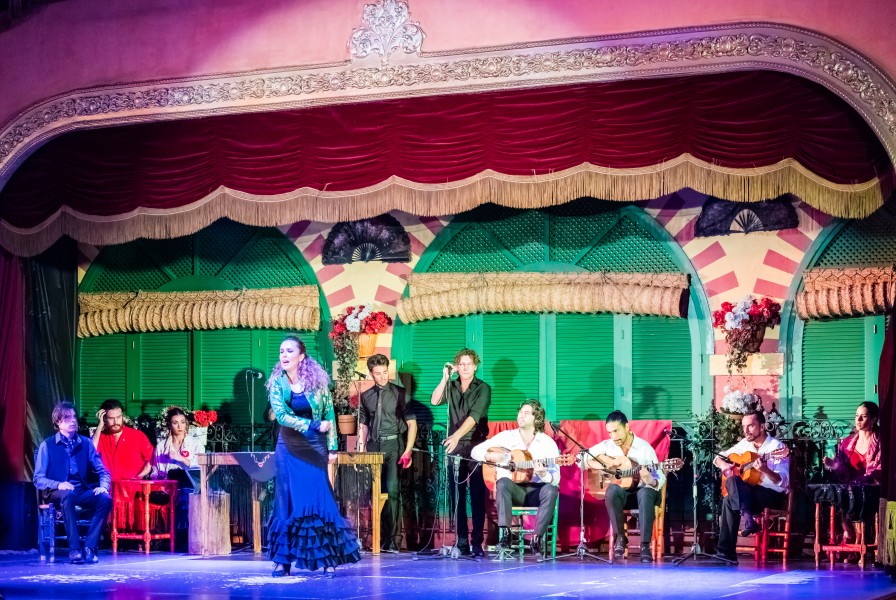 Flamenco en el Palacio Andaluz, Sevilla, España, 2015-12-06, DD 05