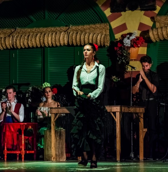 Flamenco en el Palacio Andaluz, Sevilla, España, 2015-12-06, DD 06