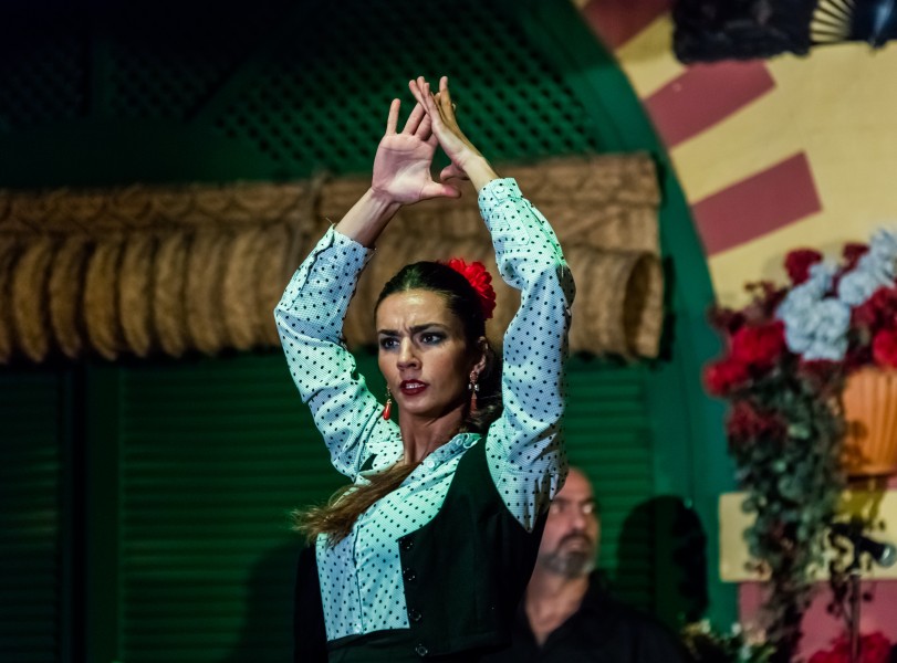 Flamenco en el Palacio Andaluz, Sevilla, España, 2015-12-06, DD 07