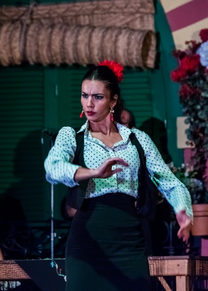 Flamenco en el Palacio Andaluz, Sevilla, España, 2015-12-06, DD 08