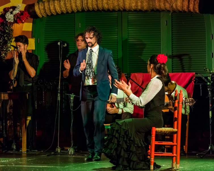 Flamenco en el Palacio Andaluz, Sevilla, España, 2015-12-06, DD 11