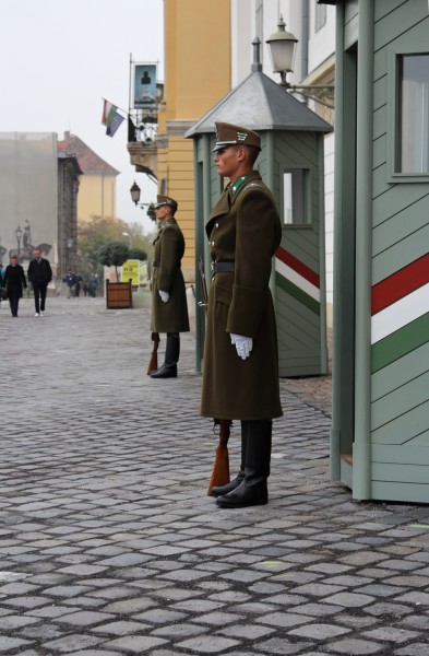 Guard at Sándor Palace Budapest 2012-11-03