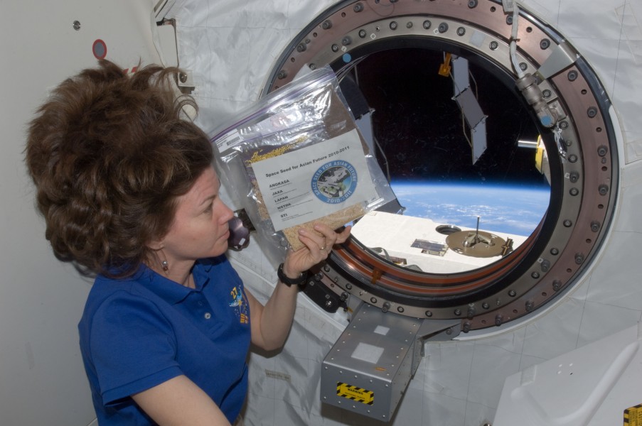 ISS-27 Cady Coleman holds a bag of space seeds