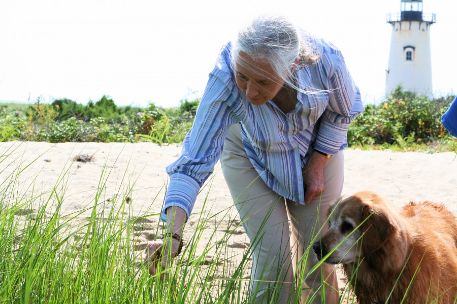 Jane Goodall enjoying a wetland walk with friend
