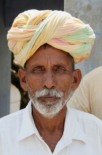 Man with beard and turban, Rajasthan, India