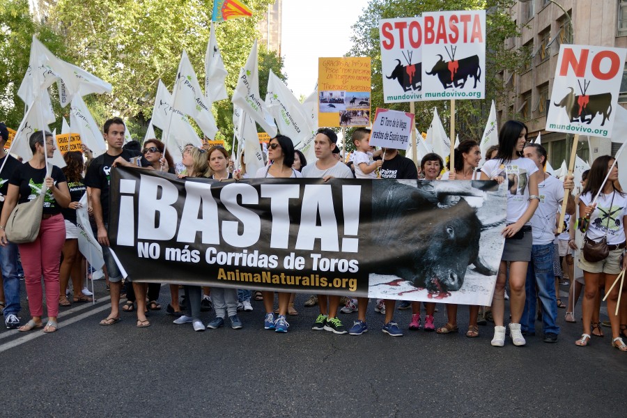 Manifestación contra el Toro de la Vega. Rompe una Lanza 2014 (41)
