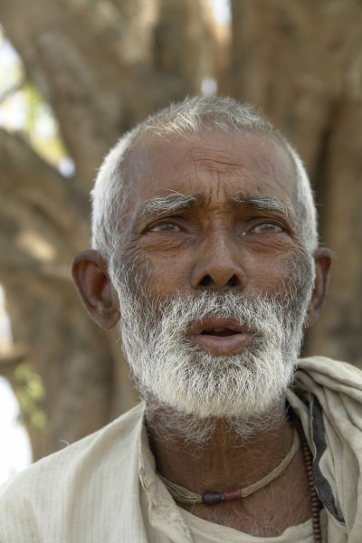 Old Indian man, Bihar, India, 2012