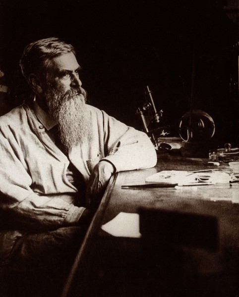 Otto Bütschli. Photograph after Ludwig Anigstein, 1912. Wellcome V0026125