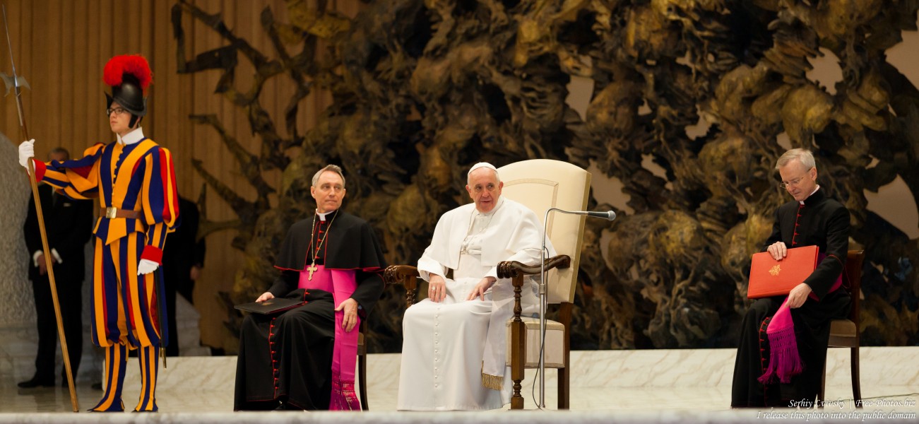 Pope Francis photographed in the Paul VI audience hall in January 2016 by Serhiy Lvivsky, picture 3