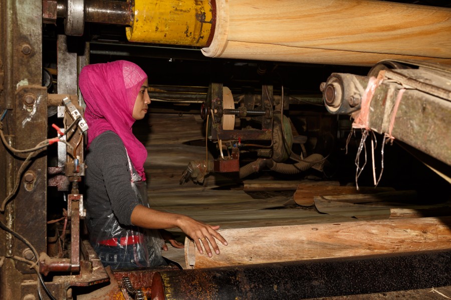 Sandakan Sabah Plywood-Factory-23