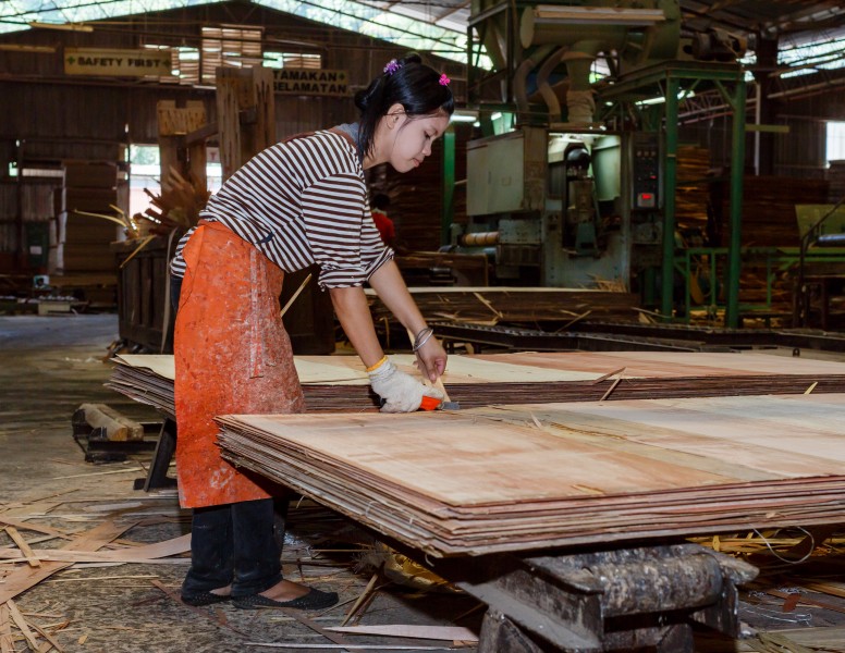 Sandakan Sabah Plywood-Factory-35