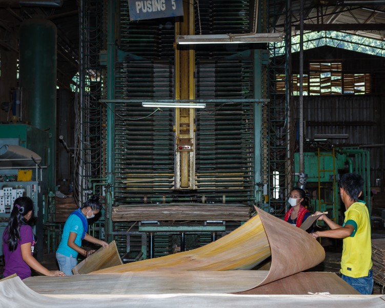 Sandakan Sabah Plywood-Factory-44