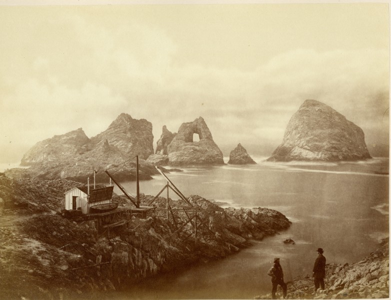 South Farallon Island landing 1871