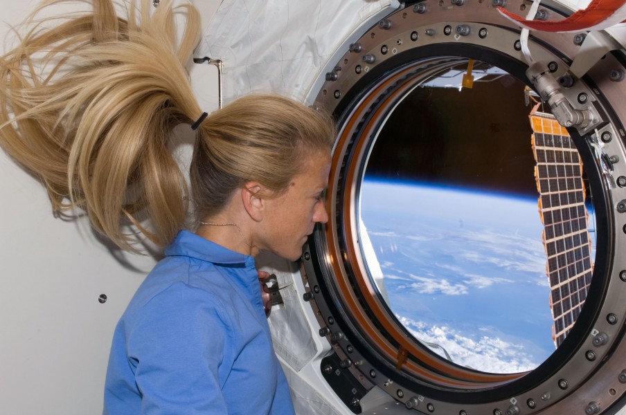 STS-124 Karen window