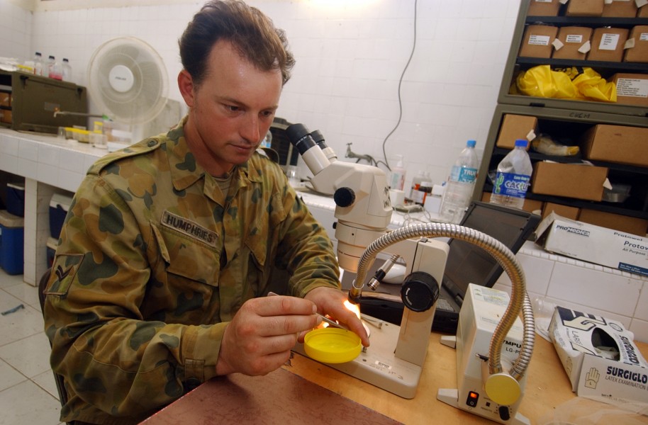 US Navy 050206-N-6665R-018 Australian Army Cpl. John Humphries, an environmental health team leader, studies mosquitoes in a laboratory aboard the Military Sealift Command (MSC) hospital ship USNS Mercy (T-AH 19)