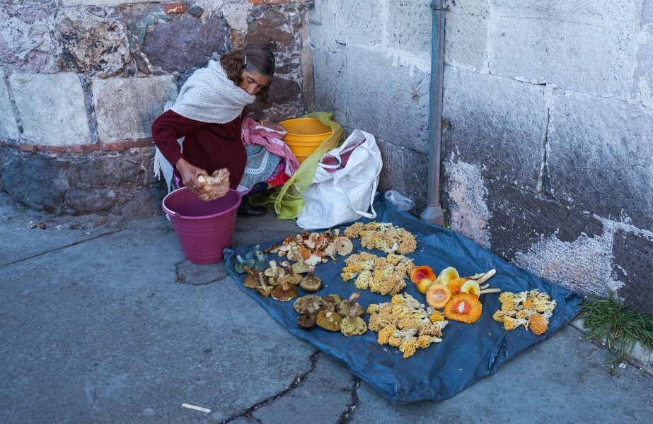 Vendedora callejera de setas, Pachuca, México, 2013-10-10, DD 01
