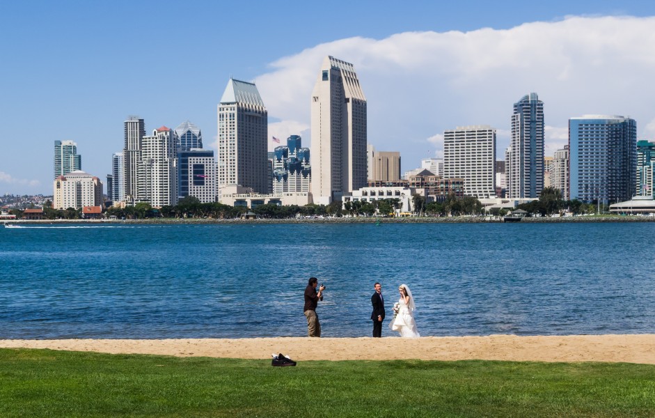Wedding Skyline San Diego 2013