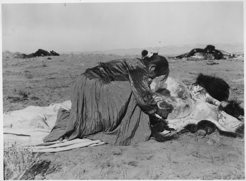 Woman skinning buffalo - NARA - 286016