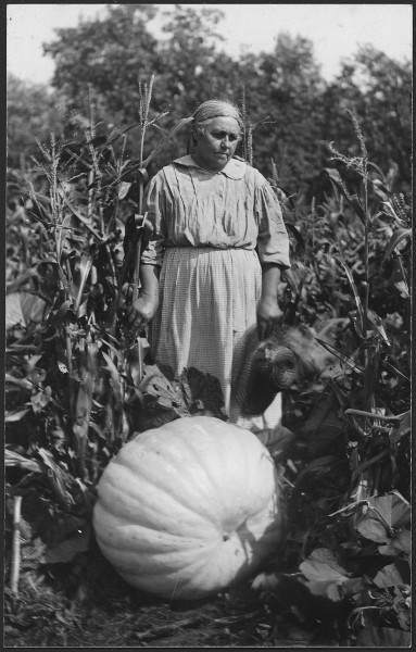 Woman with large pumpkin at Cass Lake - NARA - 285291