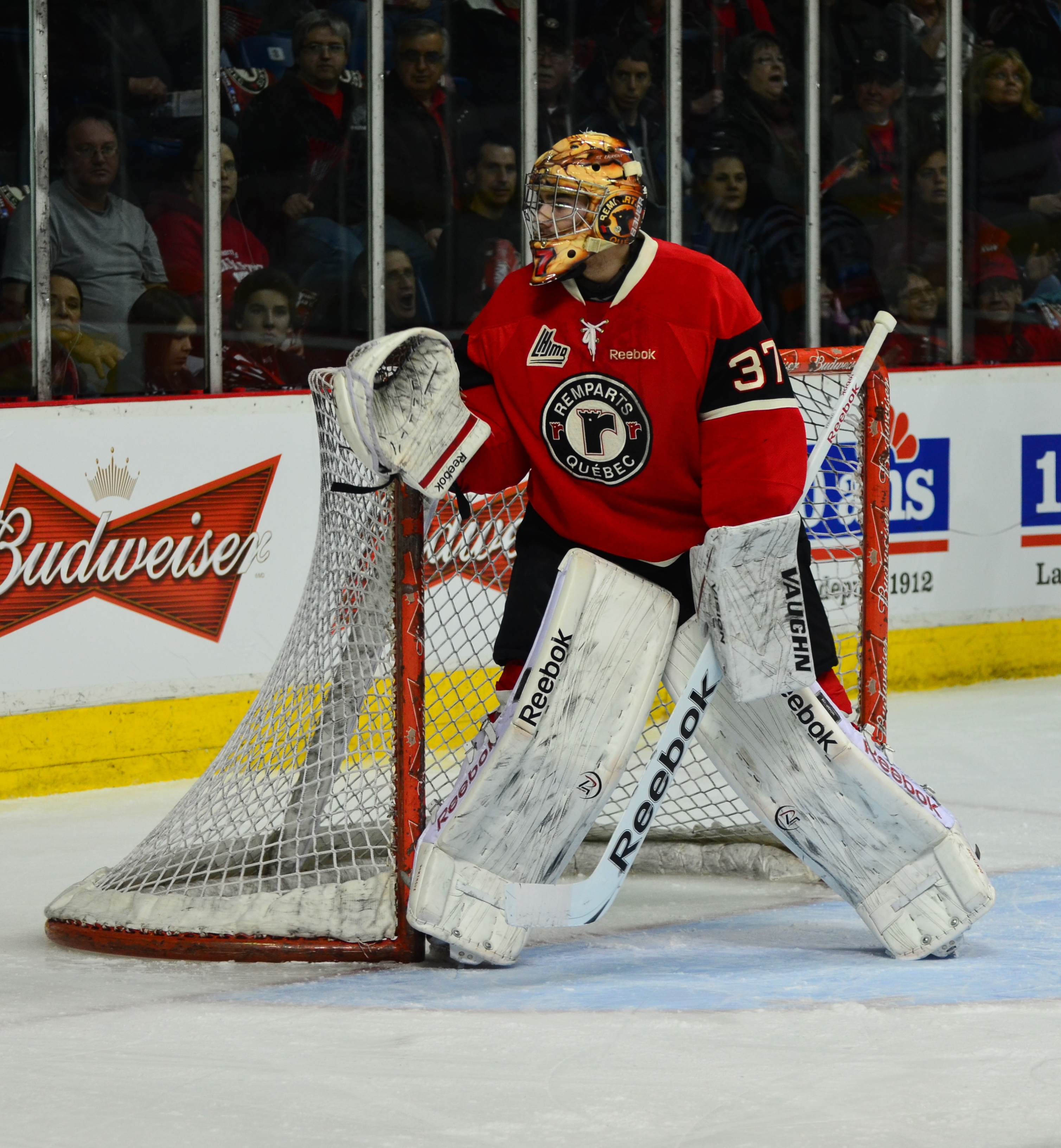 Québec-Drummondville-LHJMQ-2012-5