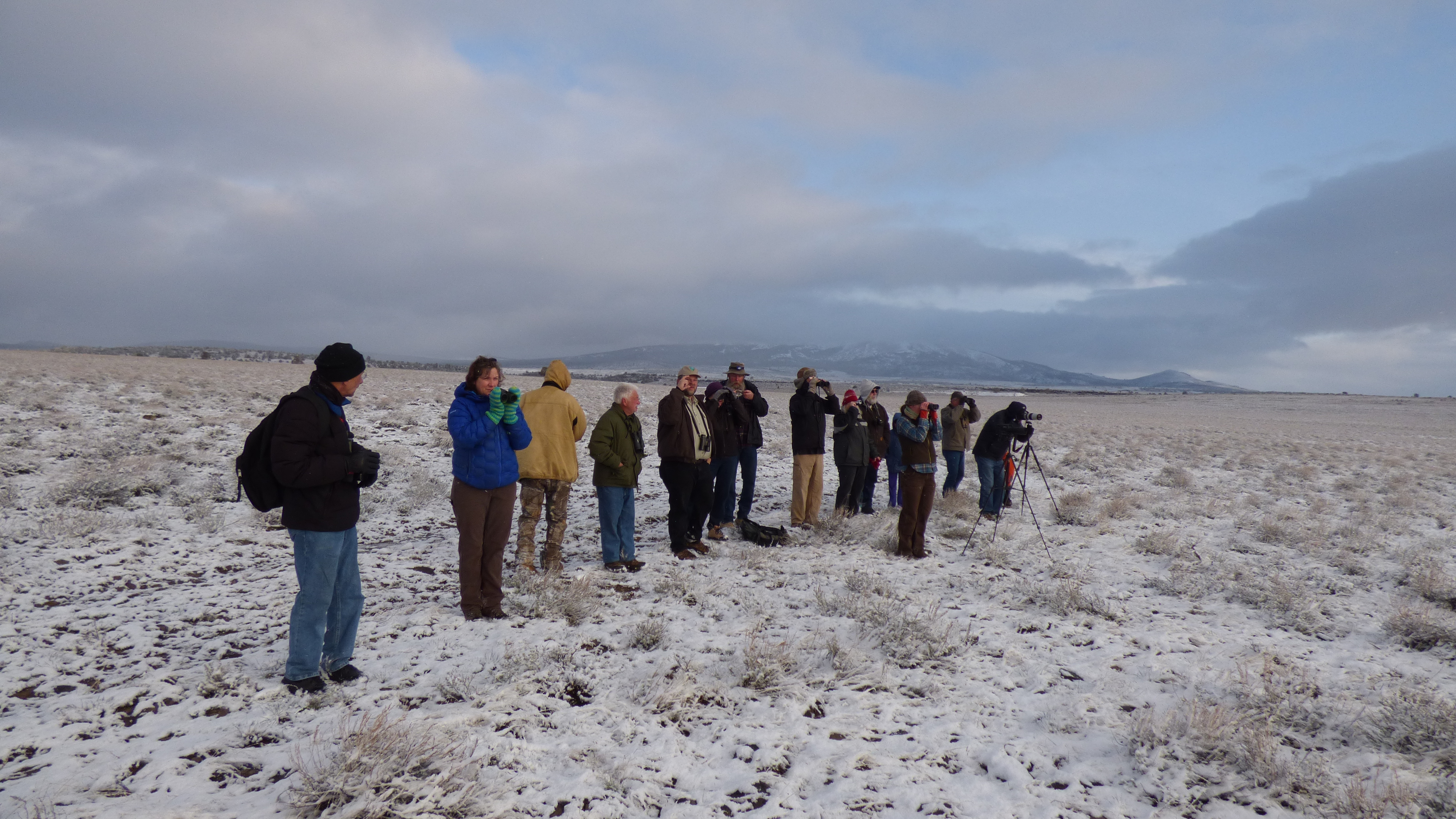 Sage-grouse Viewing Field Trip (33979806796)