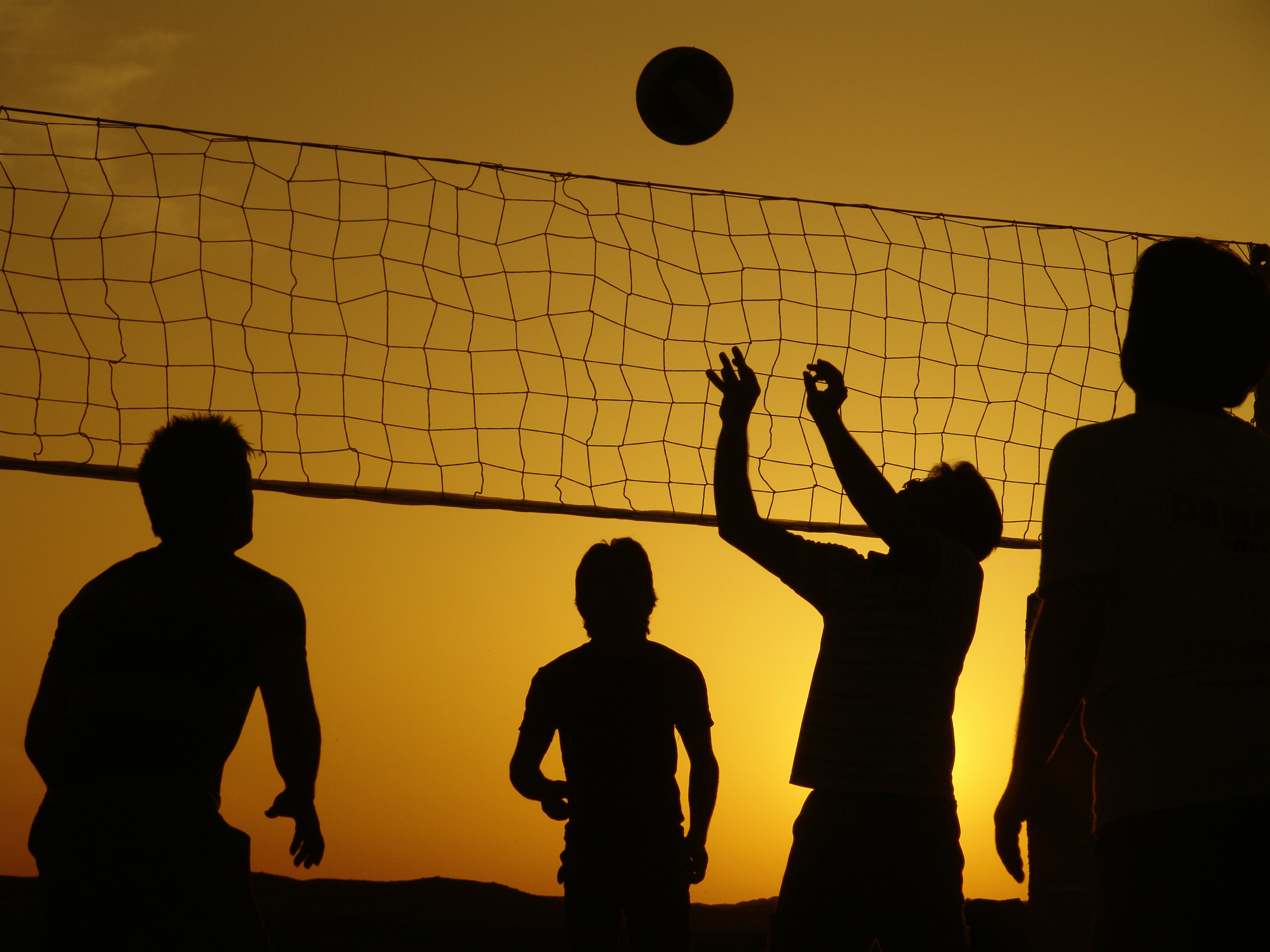 Silhouette Volleyball