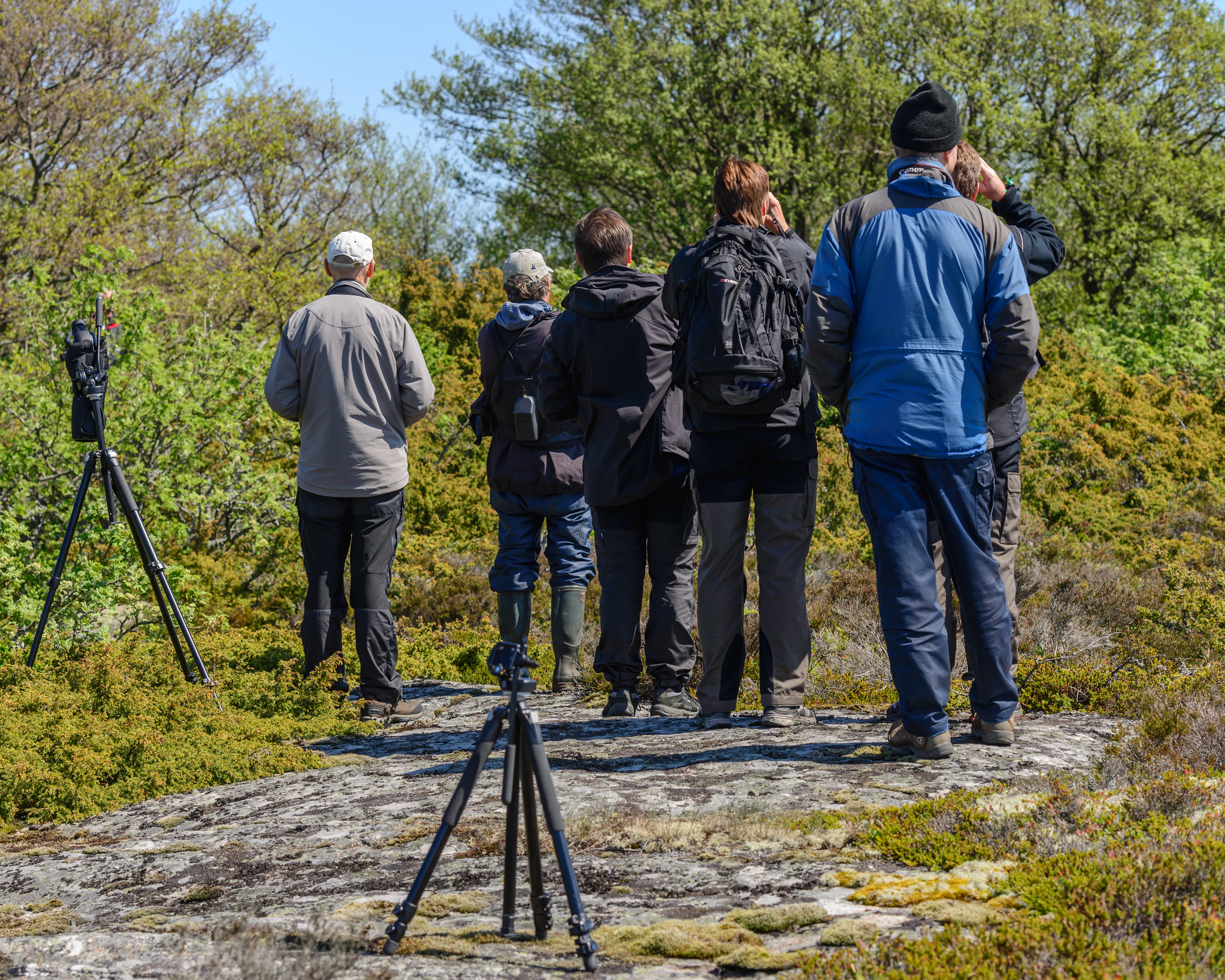 Svenska Högarna June 2014 07