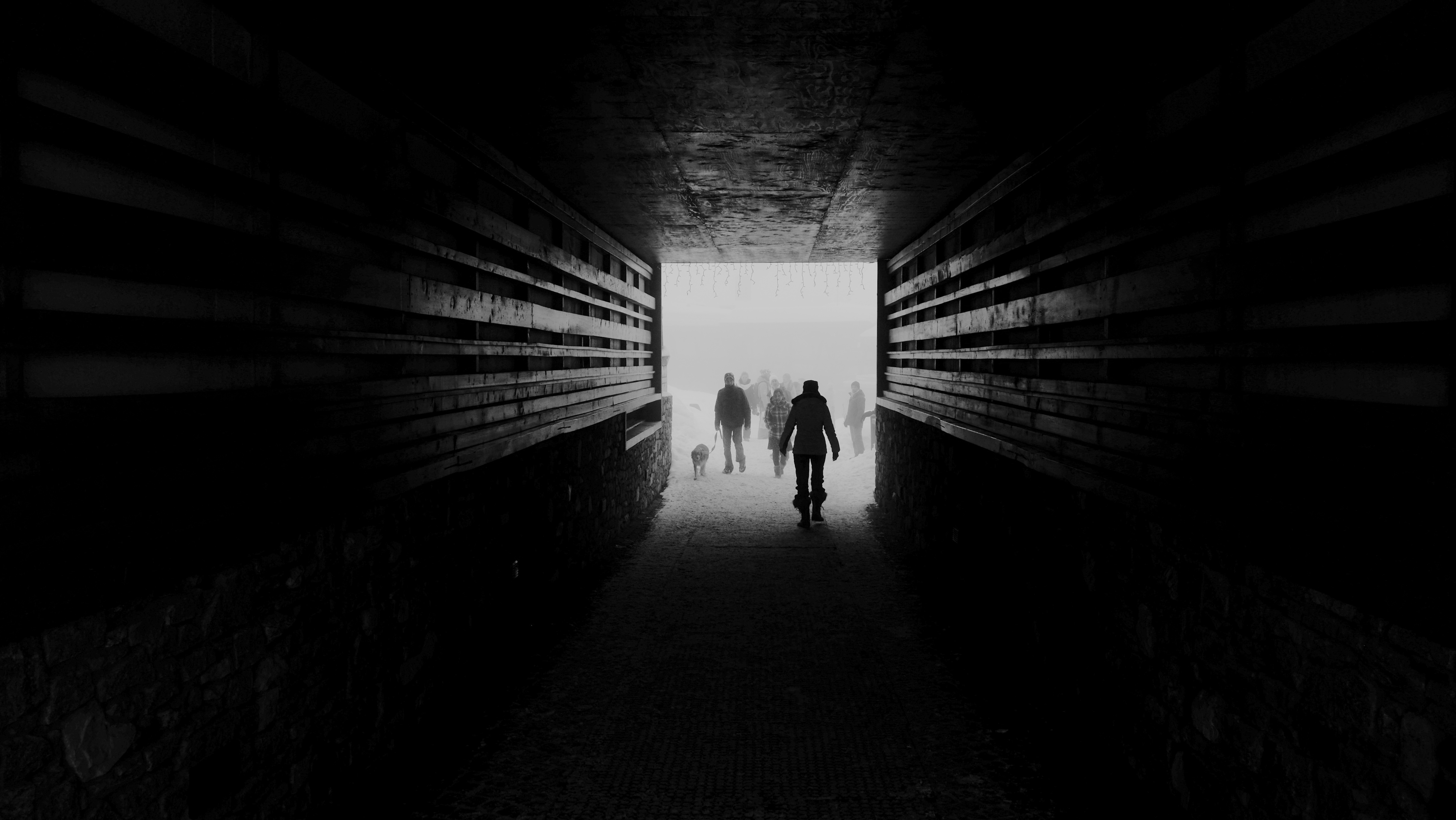 The Tunnel 986954