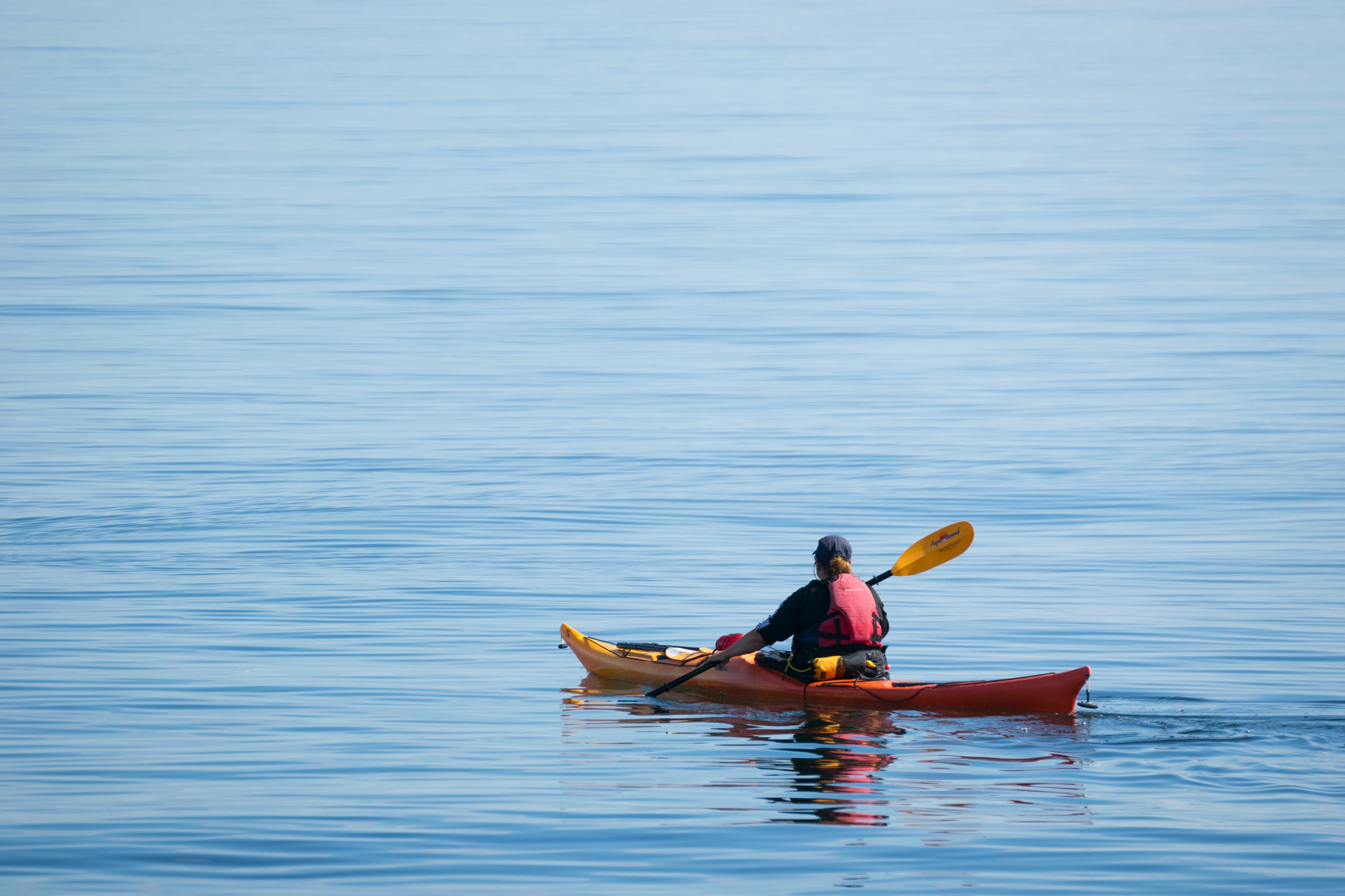 2016-08 Kayak Grandes Bergeronnes Saint Lawrence River 03