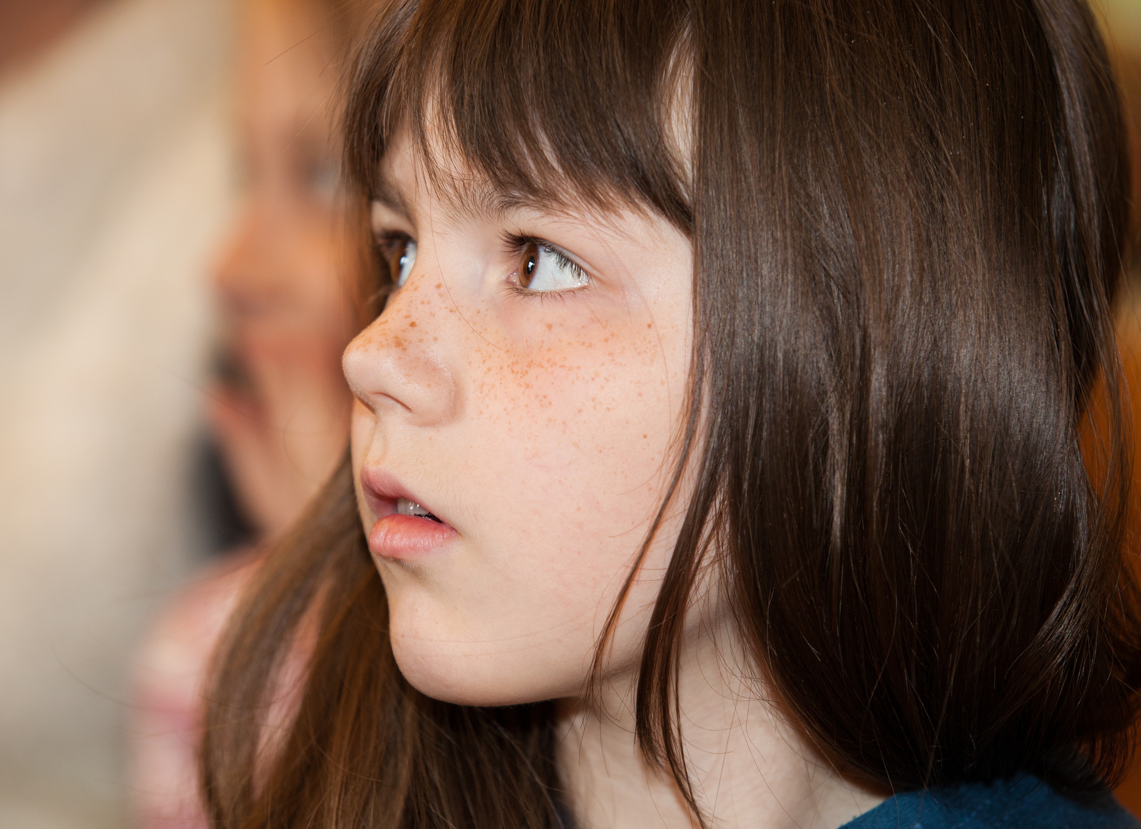 a cutie photographed in a Church in May 2014