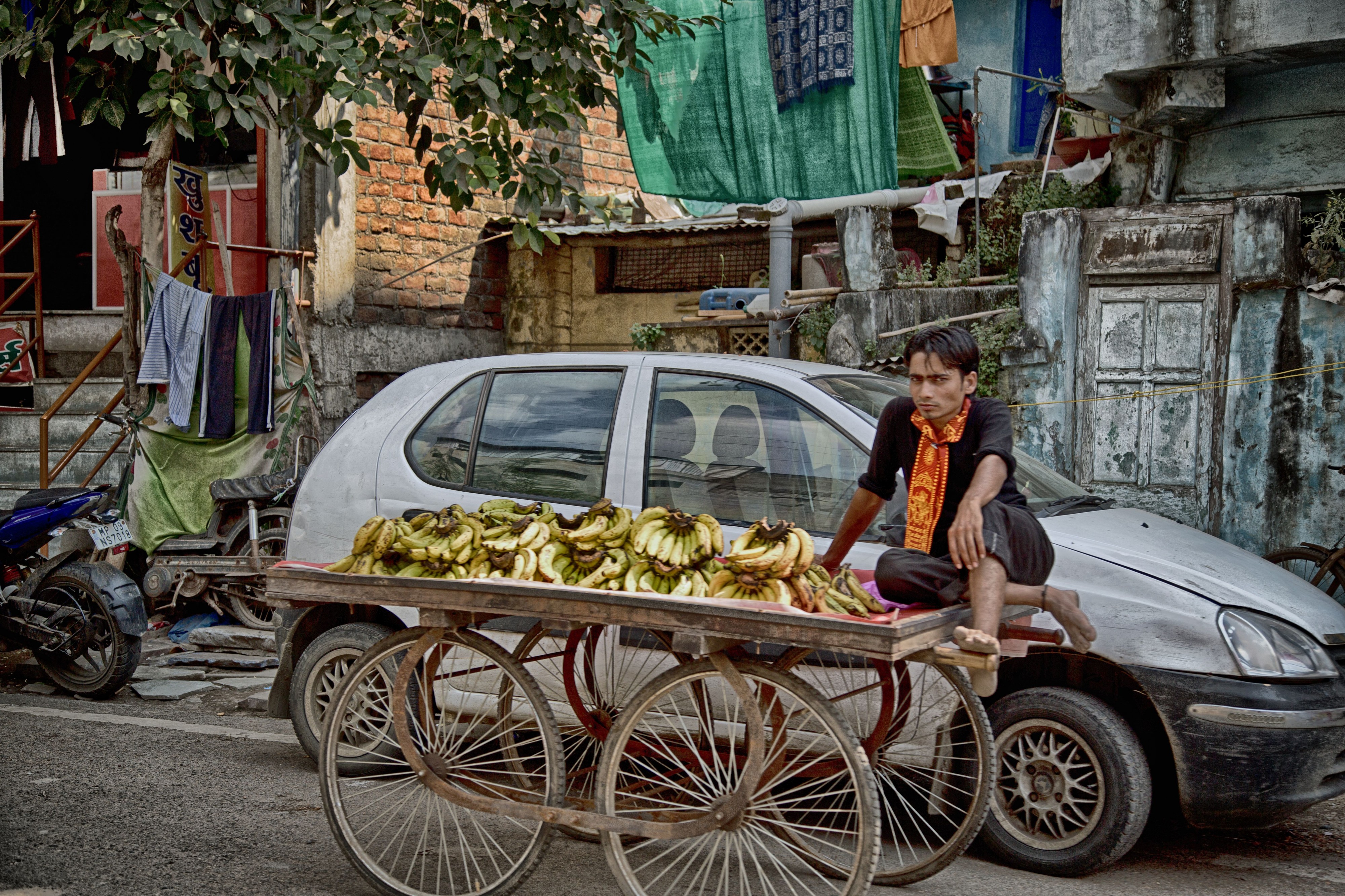 Bananas (10747135705)