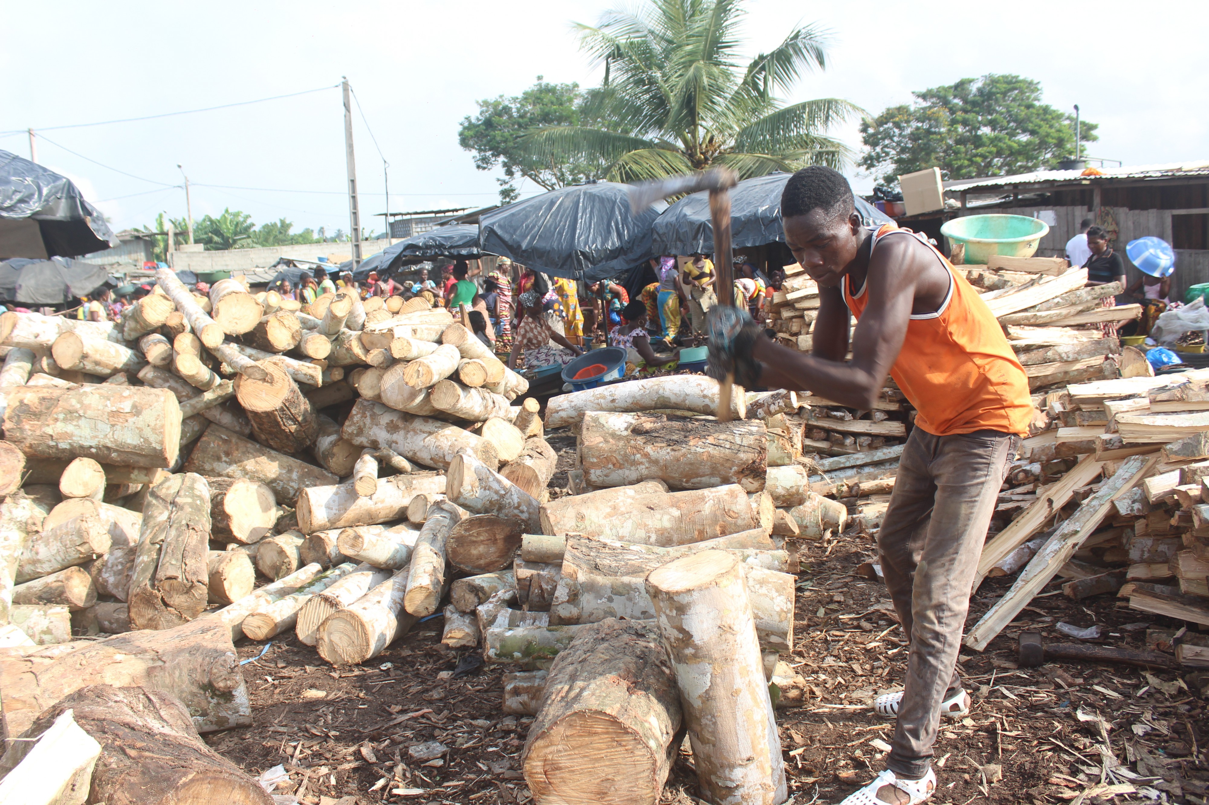 Casseur de bois 4