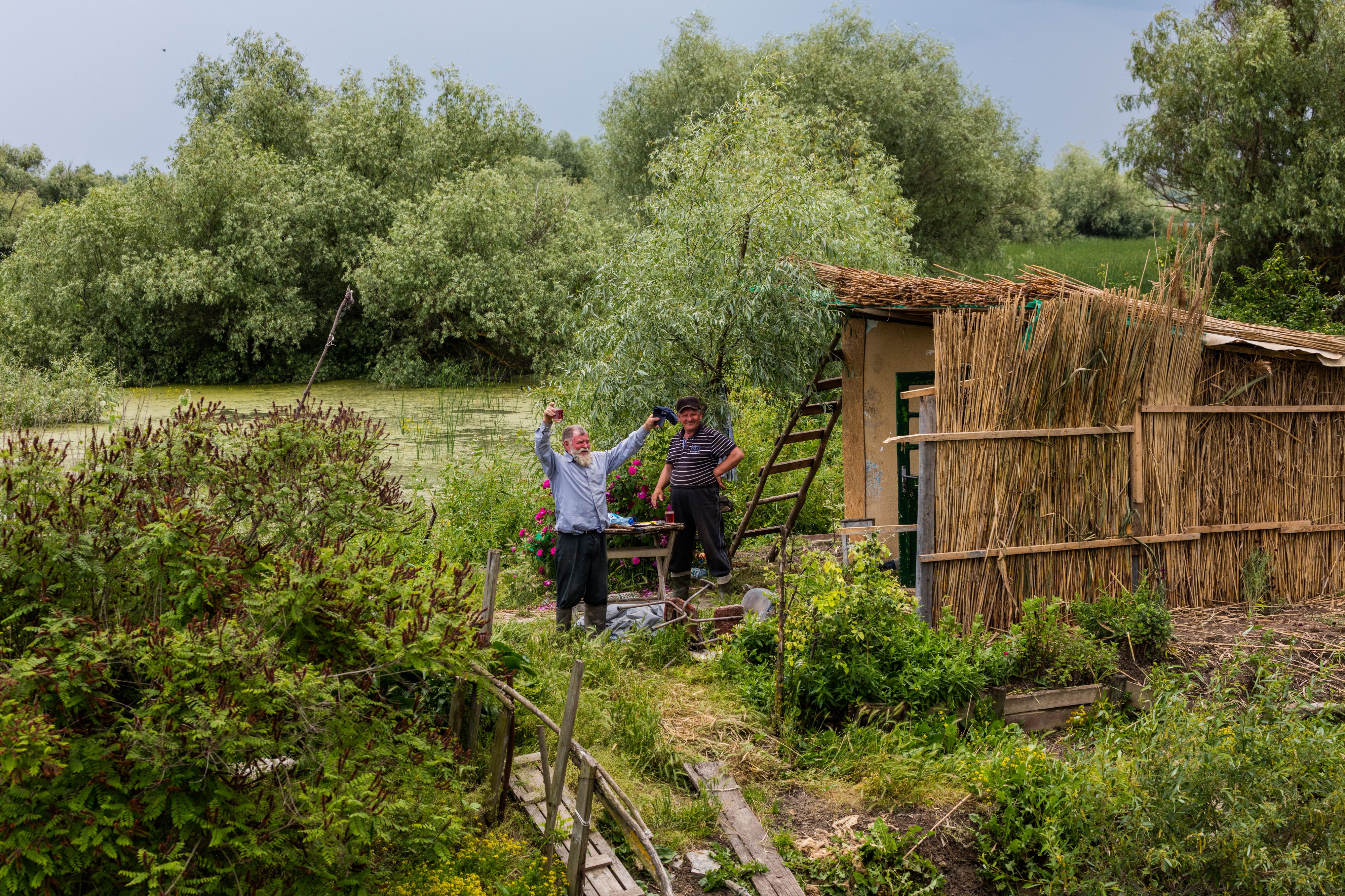 Delta del Danubio, Rumanía, 2016-05-28, DD 34