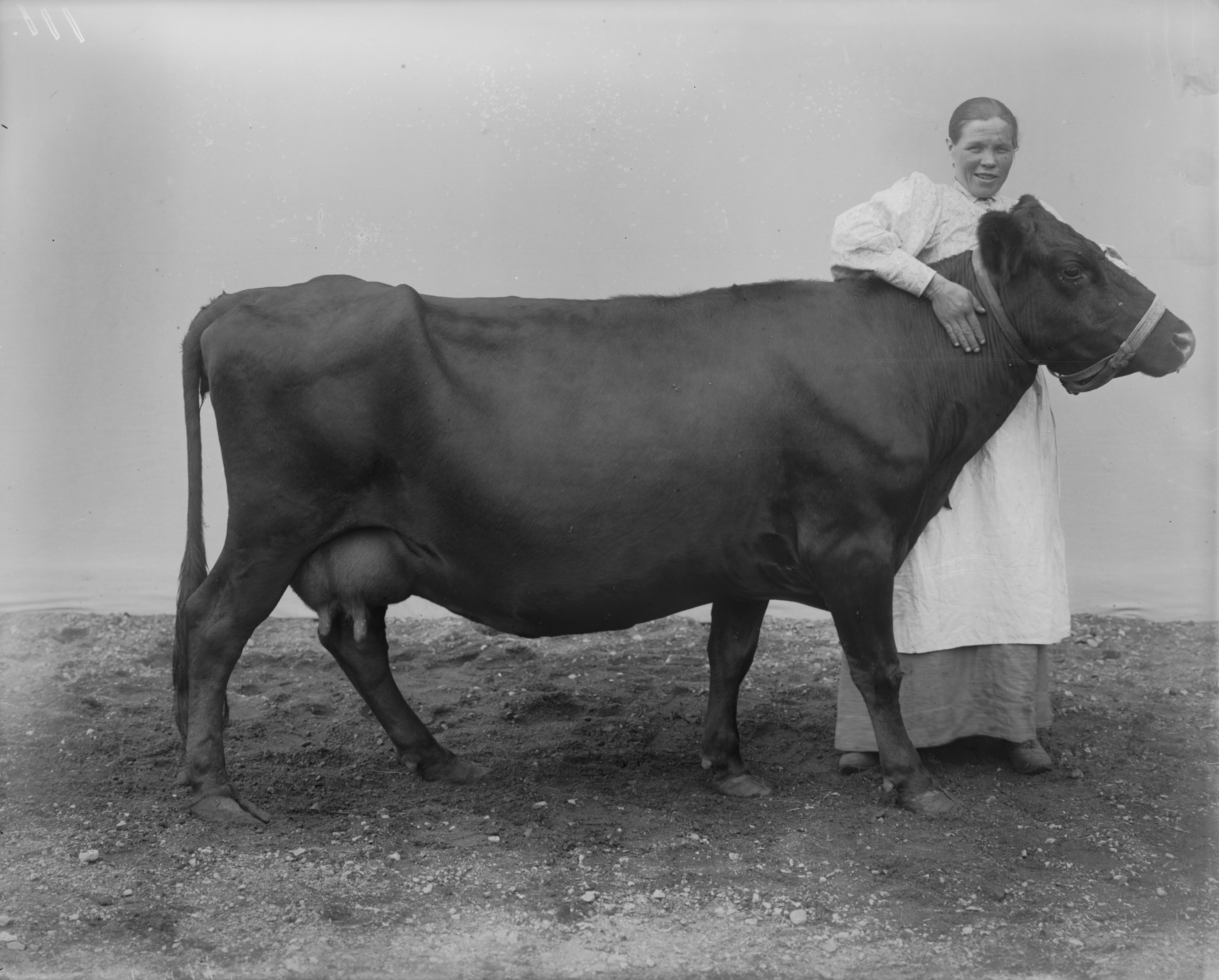 I.K Inha Finnish Agriculture d2000 48 111