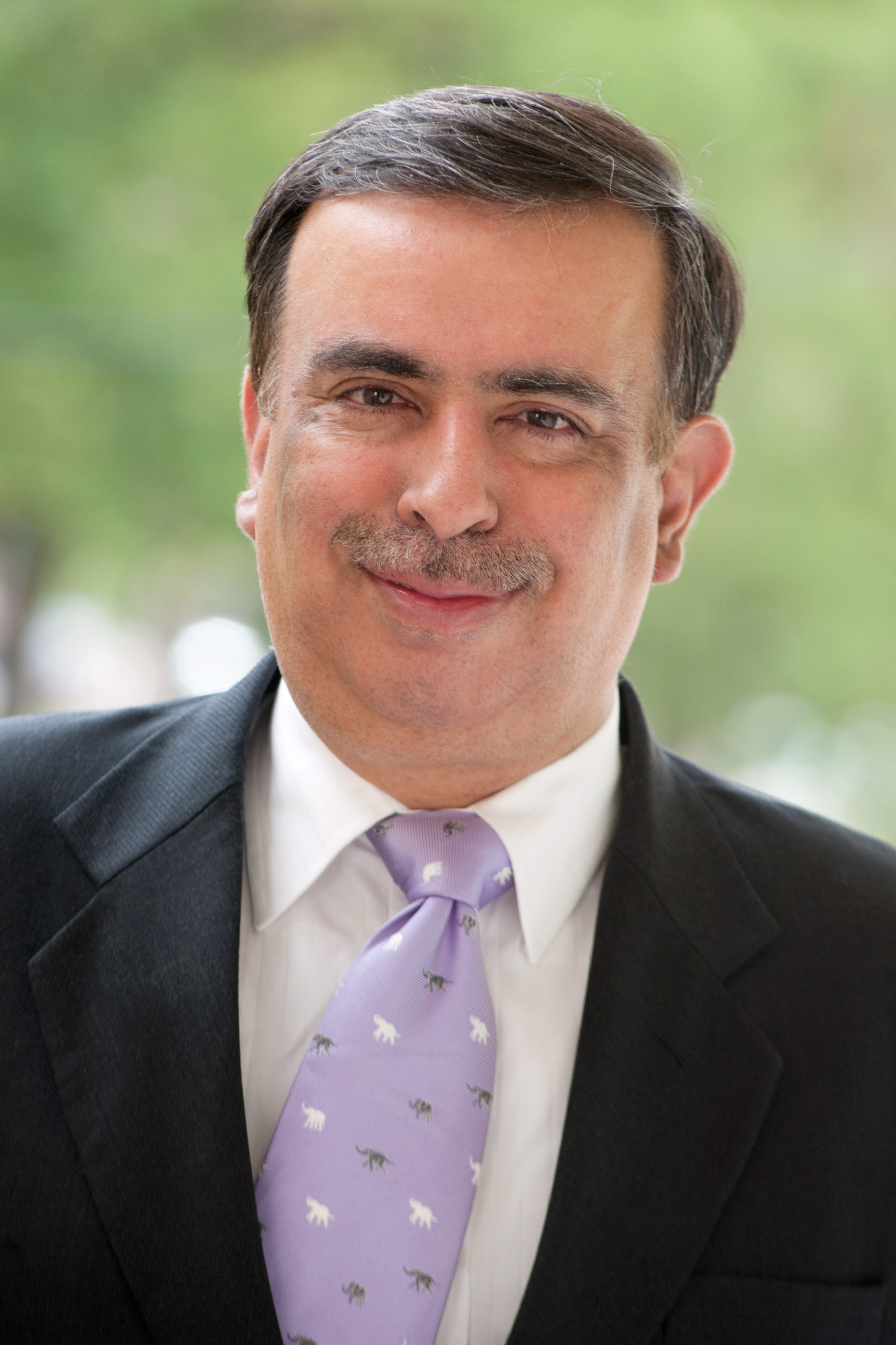 Professor Amitabh Mattoo