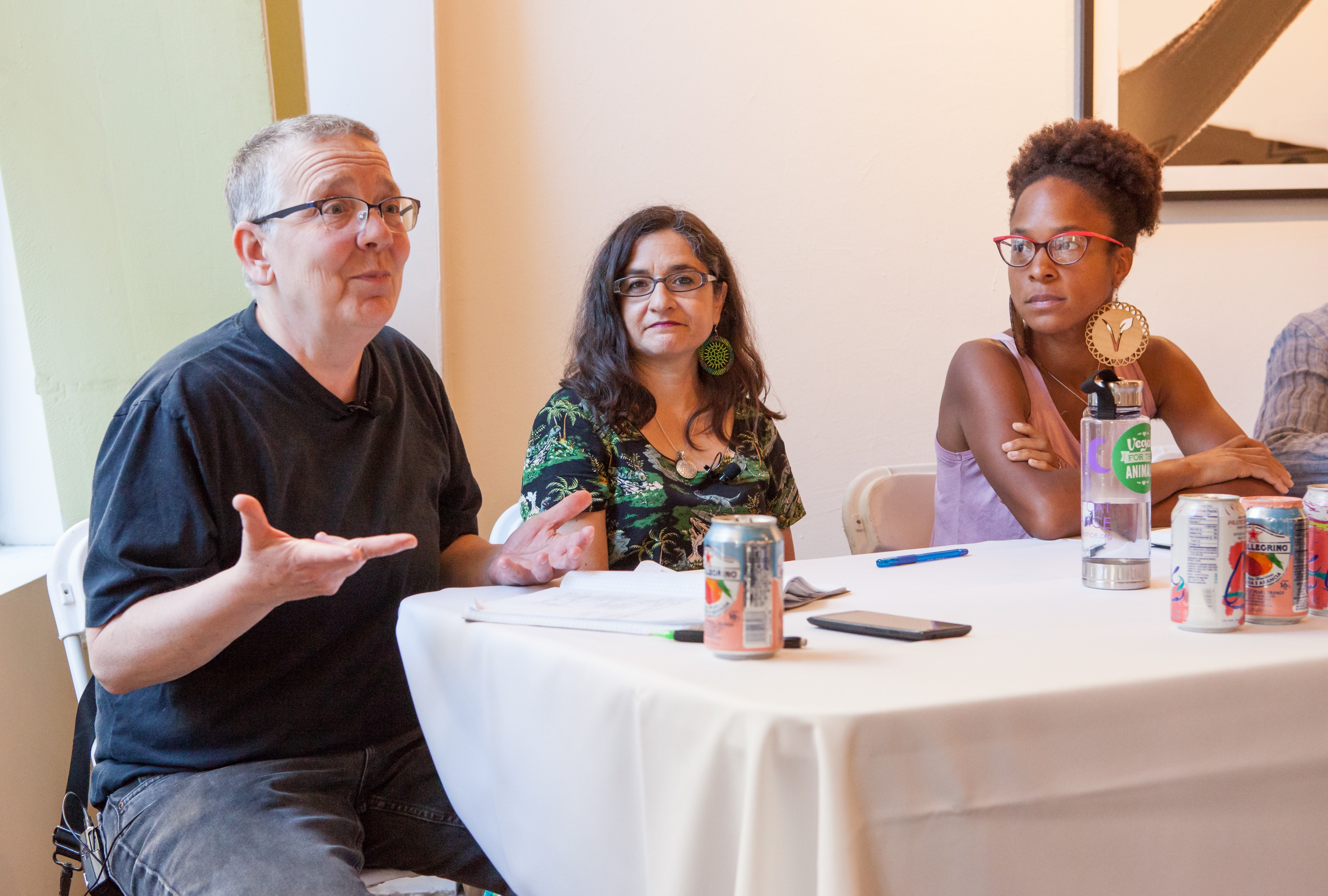 SFWAR violence and speciesism panel 20180511-2707