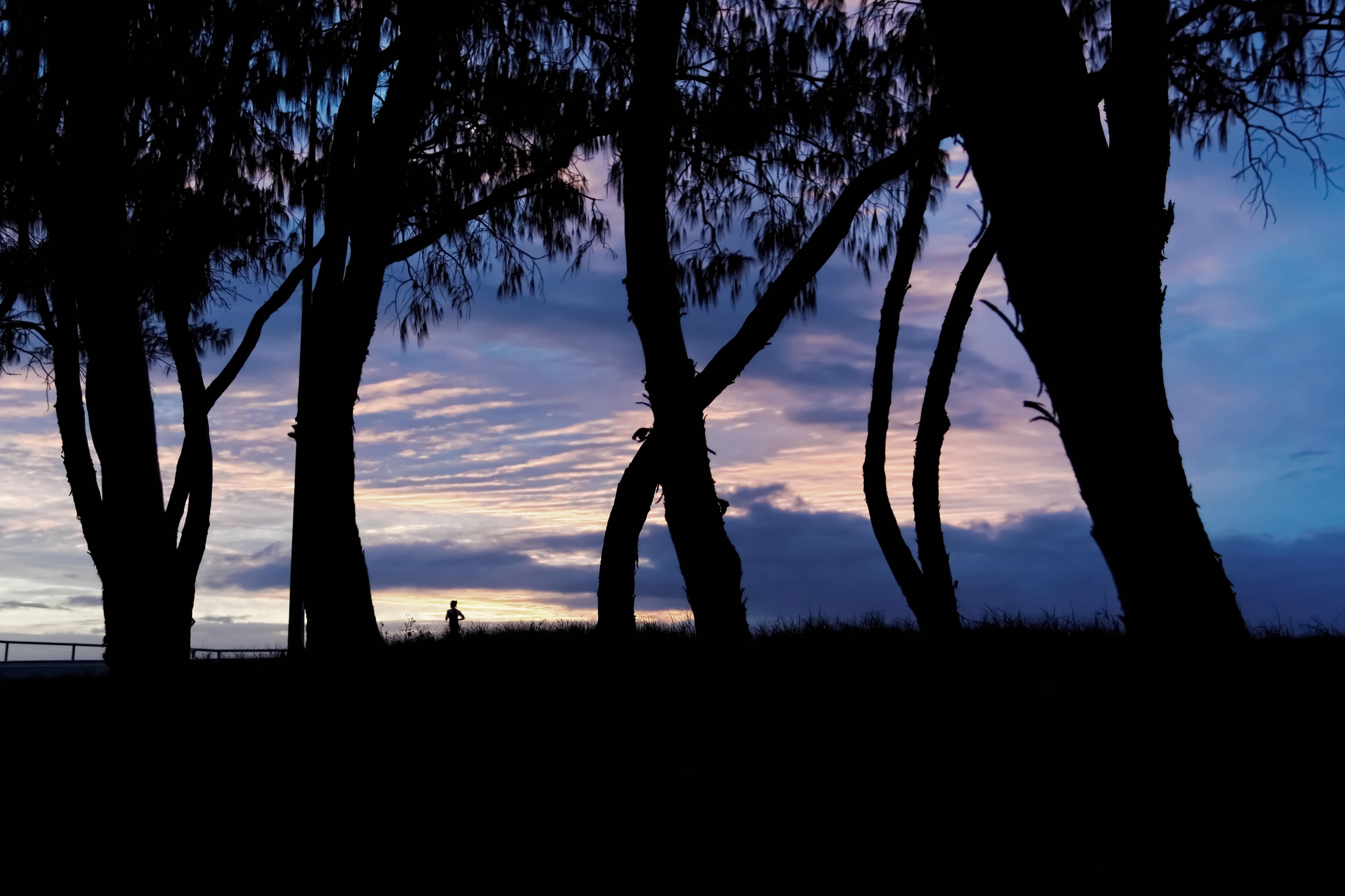 Silhouette of a jogger under a pink sunrise