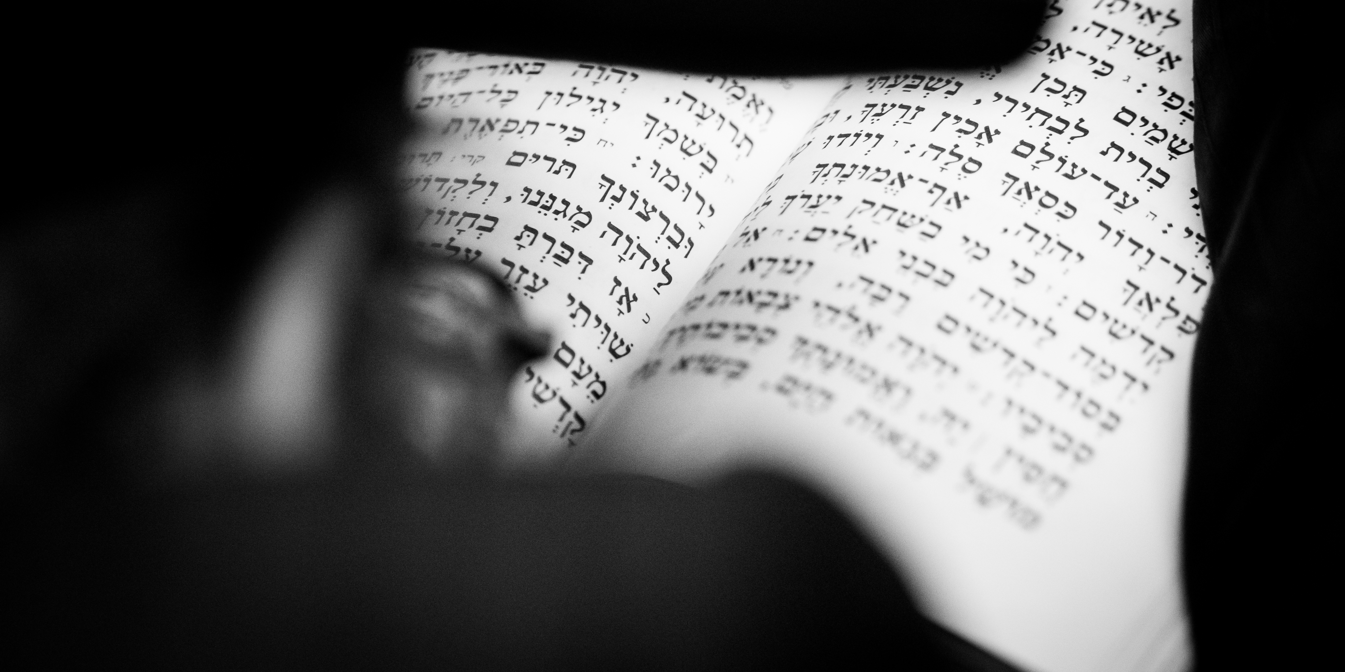 TLV 7