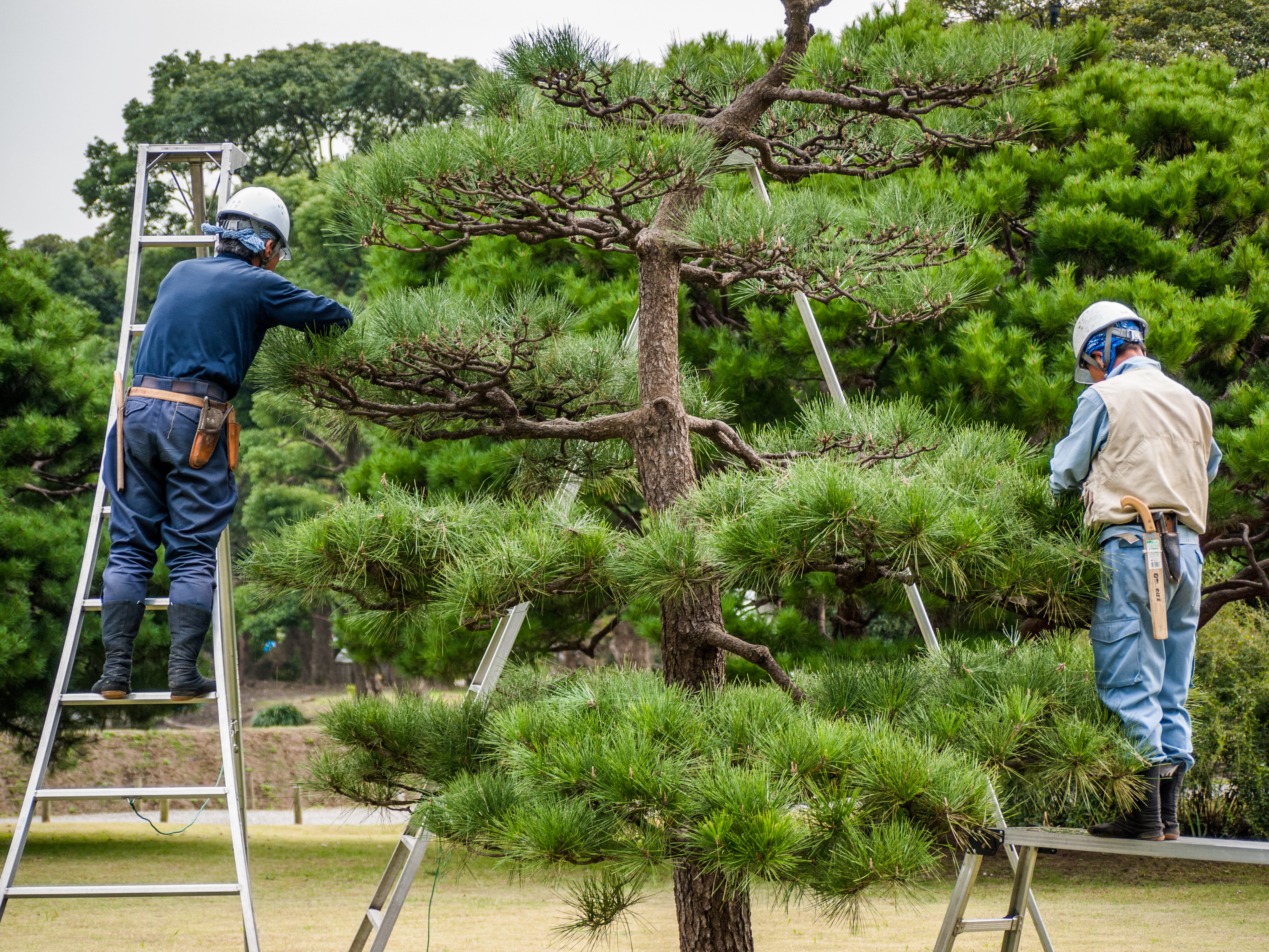 Tokyo-gardeners-1160