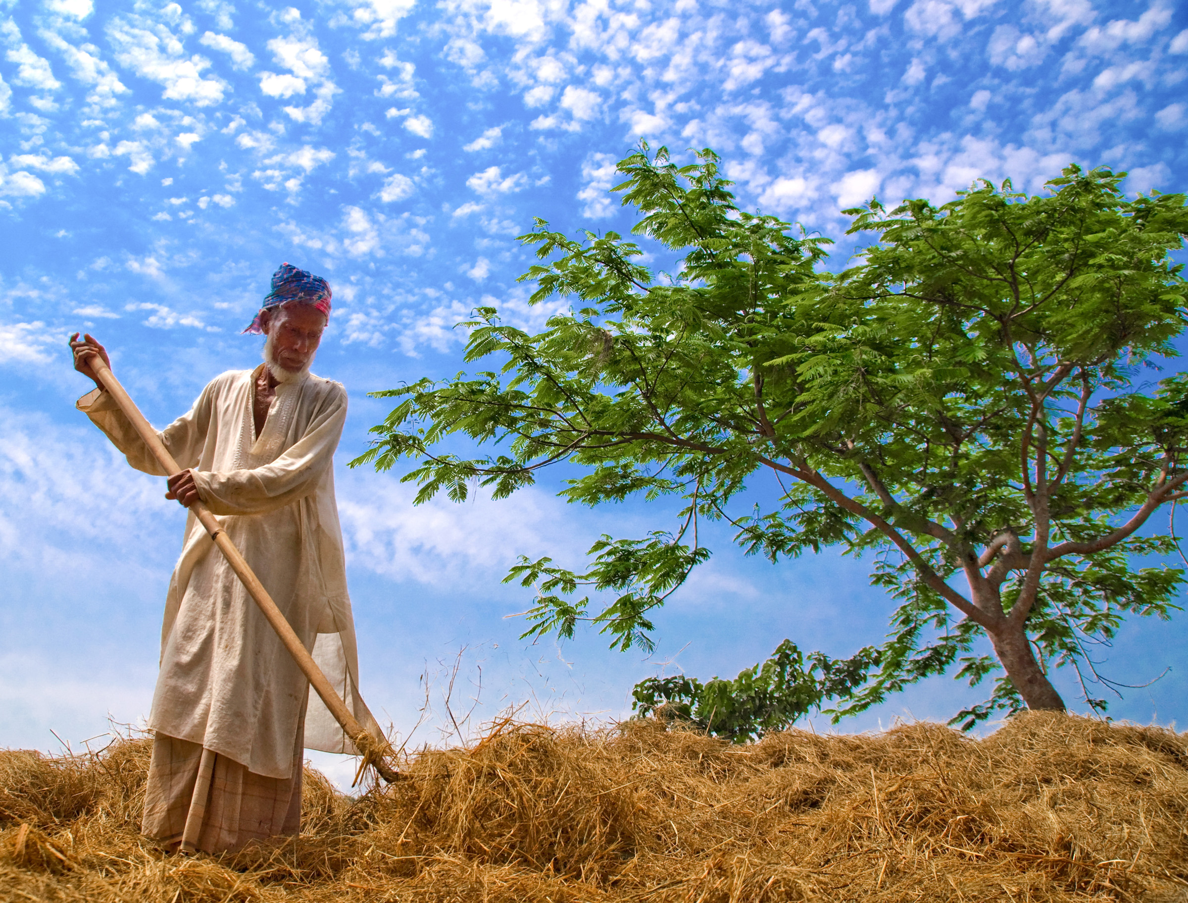 Village people of Bangladesh
