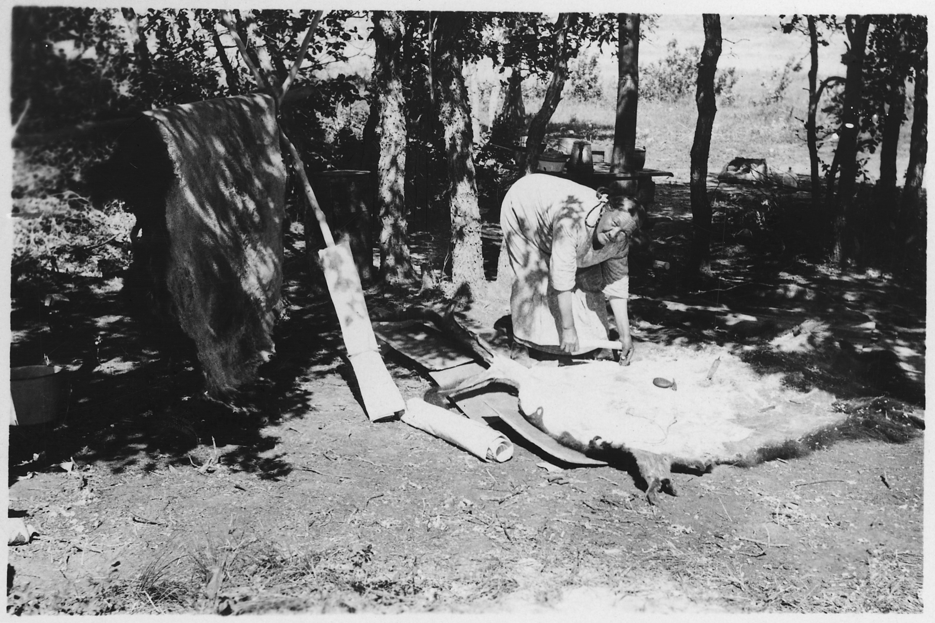 Woman rolling out animal skin - NARA - 285648