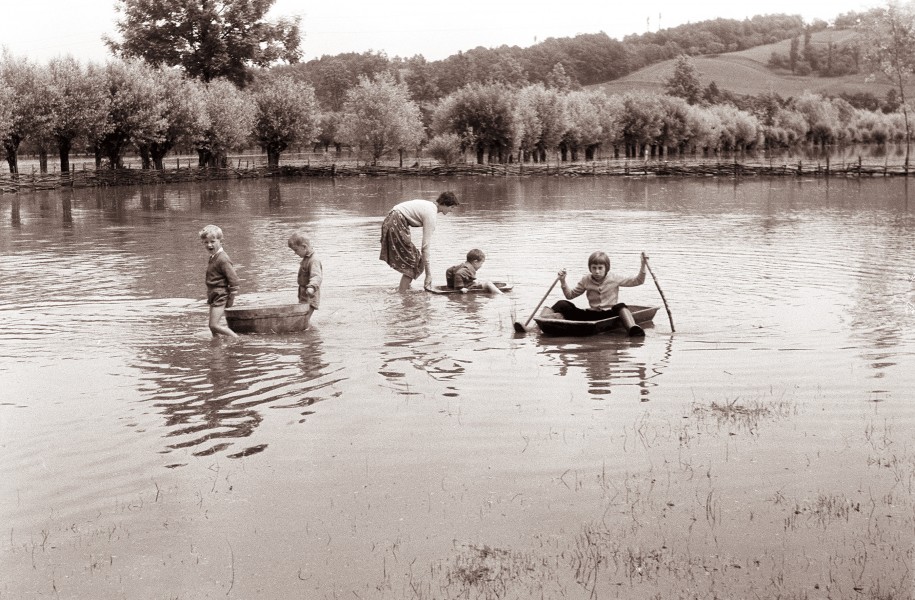 Narasla reka Pesnica 1961 (2)