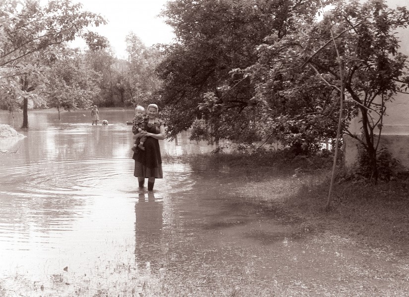 Narasla reka Pesnica 1961 (4)